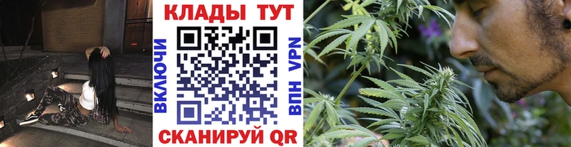Где продают наркотики Светогорск ГАШ Alpha PVP Меф Каннабис