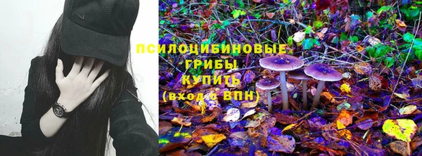 мяу мяу мука Богданович