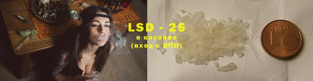 мяу мяу мука Богданович
